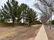 Peaceful street lined with mature pine trees, offering a serene neighborhood atmosphere at 1131 W Sierra Madre Ave, Gilbert, AZ 85233