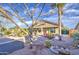 Backyard view with patio, outdoor seating, desert landscaping, mature cacti, and inviting space for entertaining at 1157 W Desert Lily Dr, San Tan Valley, AZ 85143