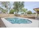 Clean backyard pool featuring a light stone deck and a mature shade tree at 126 S Rita Ln, Chandler, AZ 85226