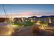 Landscaped backyard featuring an artificial lawn, desert vegetation, and beautiful dusk lighting at 12660 E Pivot Peak --, Gold Canyon, AZ 85118