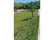 Manicured lawn featuring fresh green grass and young trees along a walkway at 1709 W Pollack St, Phoenix, AZ 85041