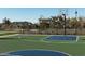 The community basketball court with hoop ready for play, surrounded by lush landscaping and views at 26029 N 23Rd Ave, Phoenix, AZ 85085