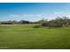 Expansive green park area with walking paths, a covered picnic area, and mountain views under a bright blue sky at 26029 N 23Rd Ave, Phoenix, AZ 85085