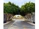 Entrance to community with mature trees lining the driveway at 2637 E Beekman Pl, Phoenix, AZ 85016