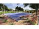 A blue basketball court surrounded by vibrant landscaping for outdoor activity at 3315 S Lotus St, Mesa, AZ 85212