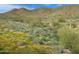 Picture-perfect desert scenery featuring native desert vegetation, mountains, and blue sky at 41802 N Bridlewood Way, Anthem, AZ 85086