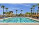 Beautiful swimming pool with lanes and seating, framed by palm trees and blue skies at 6271 S Twilight Ct, Gilbert, AZ 85298