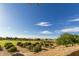 Community park with trees, grass, and playground equipment in the background at 6271 S Twilight Ct, Gilbert, AZ 85298