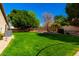 Expansive backyard with lush green lawn and mature trees at 7810 W Wescott Dr, Glendale, AZ 85308