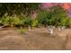 Lush backyard featuring mature trees, string lights, and drought tolerant landscaping at 2005 N Pomelo --, Mesa, AZ 85215