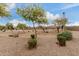 Desert landscaping featuring gravel, trees, and bushes with privacy wall on a sunny day at 2426 E San Gabriel Trl, Casa Grande, AZ 85194