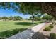 The community park features walking trails through landscaped green space, with grassy areas and mature trees at 493 E Baylor Ln, Gilbert, AZ 85296