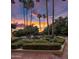 Beautiful backyard with lush landscaping, palm trees, and a colorful sunset backdrop at 5254 E Arroyo Rd, Paradise Valley, AZ 85253