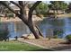 A tranquil Freeman Farms pond featuring ducks and a sign indicating a 'Private Property' warning at 5779 S Penrose Dr, Gilbert, AZ 85298