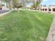 Well-manicured common area in a residential community at 6841 N 3Rd Pl, Phoenix, AZ 85012