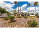 Lush backyard featuring mature landscaping, including palm trees and rocks, enhancing its appeal at 115 E Piping Rock Rd, Phoenix, AZ 85022