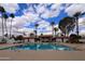 Stunning pool area complete with lounge areas and palm trees, perfect for relaxation and recreation at 115 E Piping Rock Rd, Phoenix, AZ 85022