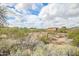 Scenic view of the surrounding desert community with mature trees and desert plants at 16388 N 99Th Pl, Scottsdale, AZ 85260