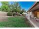 Spacious backyard with lawn, mature trees, and covered patio area at 1939 S Noble --, Mesa, AZ 85209