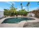 Private backyard pool surrounded by lush greenery and tall palm trees creating a relaxing oasis at 3022 E Weldon Ave, Phoenix, AZ 85016