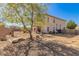 Large backyard area with xeriscaping, mature trees, privacy fence, and covered patio view at 599 W Agrarian Hills Dr, San Tan Valley, AZ 85143