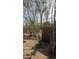 Backyard showcasing desert plants and privacy; ideal for serene outdoor living at 9435 E Mohawk Ln, Scottsdale, AZ 85255