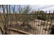 View from the backyard showcases native desert plants beyond a secure fence at 9435 E Mohawk Ln, Scottsdale, AZ 85255