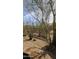 Desert backyard with native plants, offering a tranquil outdoor retreat at 9435 E Mohawk Ln, Scottsdale, AZ 85255