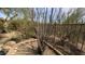 Landscaped desert backyard with native plants behind a secure fence, blending nature and home at 9435 E Mohawk Ln, Scottsdale, AZ 85255