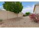 Gravel backyard featuring a block wall and colorful plantings at 10012 W Runion Dr, Peoria, AZ 85382