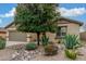 Beautiful single-story home featuring a well-maintained yard, desert landscaping, and a mature shade tree at 1197 W Rolls Rd, San Tan Valley, AZ 85143