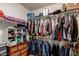 Walk-in closet with organized hanging clothes, shelves, and floor storage at 13331 W Romain Ct, Litchfield Park, AZ 85340