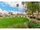 Green community area with grass, palm trees, other trees, and houses at 2025 N 106Th Dr, Avondale, AZ 85392