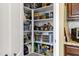 Spacious walk-in pantry features ample shelving space for food and supplies at 2280 E Aloe Pl, Chandler, AZ 85286