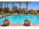 Inviting community lap pool with clear blue water, surrounded by well-maintained landscaping and palm trees for a serene experience at 9475 N 115Th Pl, Scottsdale, AZ 85259