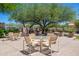 Charming outdoor seating area with multiple tables and chairs under a mature tree, great for relaxing or dining at 9475 N 115Th Pl, Scottsdale, AZ 85259