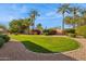 Green backyard showcasing manicured lawn, lush plants, and tall palms against a blue sky at 11216 E Appaloosa Pl, Scottsdale, AZ 85259