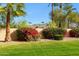 Expansive backyard featuring lush green lawn, mature plantings, and a block wall surround at 11216 E Appaloosa Pl, Scottsdale, AZ 85259