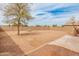 Fully enclosed backyard with brick walls, showcasing a picnic table and a mature tree offering shade at 14450 N 132Nd Dr, Surprise, AZ 85379