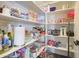 Well-stocked pantry with organized shelving providing ample storage space for food and kitchen essentials at 372 W Larona Ln, Tempe, AZ 85284