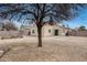 Spacious gravel backyard with mature trees, raised garden beds, patio, and block wall at 15984 W Watkins St, Goodyear, AZ 85338