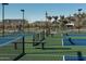 Community pickleball courts offering a fun and engaging way to stay active with neighborhood views at 25339 N 19Th Ln, Phoenix, AZ 85085