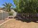 Backyard with grass, trees, block fence and a table at 25798 W Miami St, Buckeye, AZ 85326
