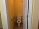 Bright toilet room featuring a toilet and safety bar at 25798 W Miami St, Buckeye, AZ 85326