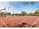 Outdoor basketball court with painted lines, hoops, and surrounding landscape at 8359 E Ingram Cir, Mesa, AZ 85207