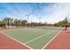 Well-maintained tennis courts with green playing surface and complete net systems at 8359 E Ingram Cir, Mesa, AZ 85207