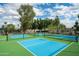 Outdoor pickleball courts with green and blue surfaces, surrounded by trees and greenery at 8369 E Del Camino Dr, Scottsdale, AZ 85258