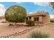 Single story home featuring xeriscape front yard, mature shade tree, and tile roof at 15026 W Cactus Ridge Way, Surprise, AZ 85374