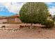 Single story home featuring xeriscape front yard, mature shade tree, and tile roof at 15026 W Cactus Ridge Way, Surprise, AZ 85374