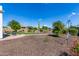 Large backyard showcasing lush landscaping, mature trees, and a stone pathway at 1775 N 164Th Dr, Goodyear, AZ 85395